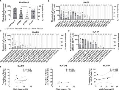 Comprehensive Analysis of CD4+ T Cell Response Cross-Reactive to SARS-CoV-2 Antigens at the Single Allele Level of HLA Class II